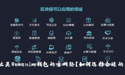 : 什么是Tokenim钱包的主网络？如何选择合适的钱包？
