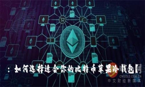 : 如何选择适合你的比特币苹果冷钱包？