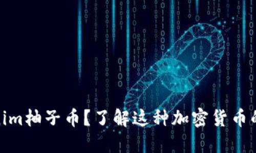 什么是Tokenim柚子币？了解这种加密货币的潜力与风险