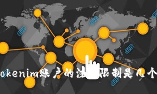 Tokenim账户的注册限制是几个？