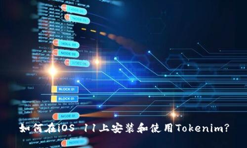 如何在iOS 11上安装和使用Tokenim?