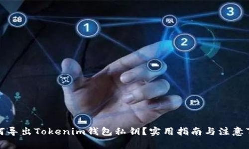 如何导出Tokenim钱包私钥？实用指南与注意事项