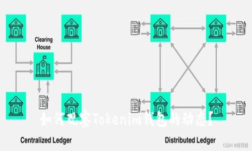 如何观察Tokenim钱包的动态？