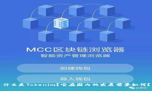 什么是Tokenim？它在国内的发展前景如何？
