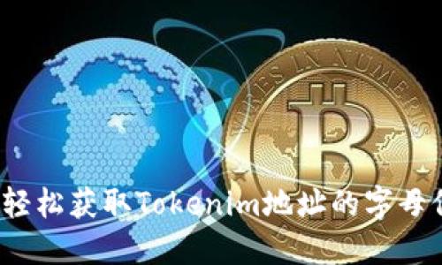 如何轻松获取Tokenim地址的字母信息？