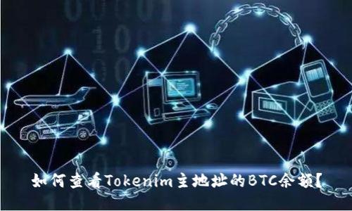 如何查看Tokenim主地址的BTC余额？