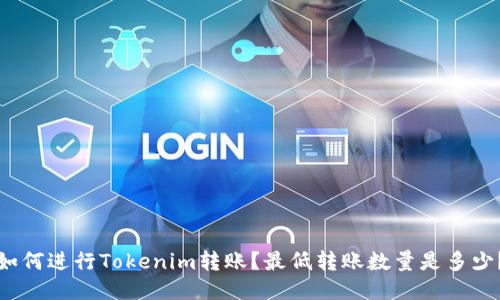 如何进行Tokenim转账？最低转账数量是多少？