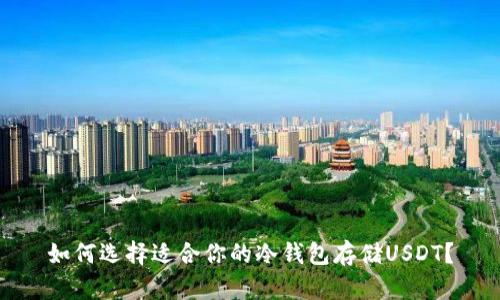 如何选择适合你的冷钱包存储USDT？