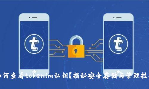 如何查看tokenim私钥？揭秘安全存储与管理技巧