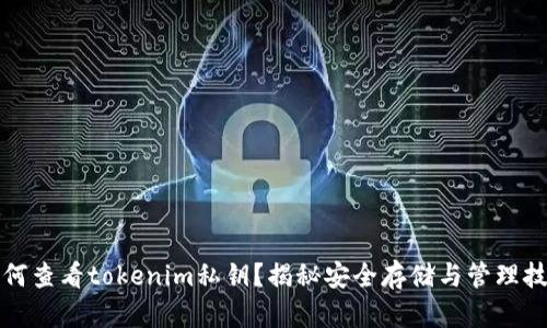 如何查看tokenim私钥？揭秘安全存储与管理技巧