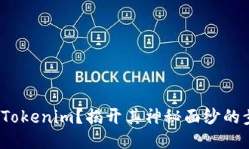 如何反编译Tokenim？揭开其神秘面纱的步骤是什么？