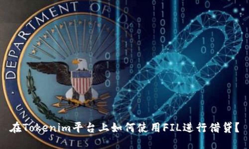 在Tokenim平台上如何使用FIL进行借贷？