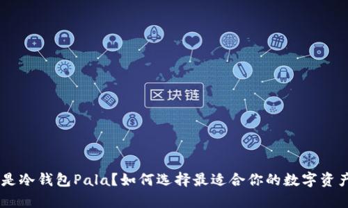 fiaoti什么是冷钱包Pala？如何选择最适合你的数字资产存储方式？