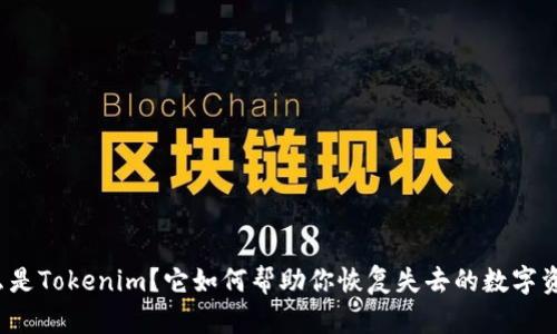 什么是Tokenim？它如何帮助你恢复失去的数字资产？