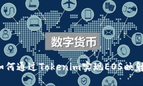 如何通过Tokenim实现EOS映射？