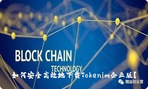 如何安全高效地下载Tokenim企业版？