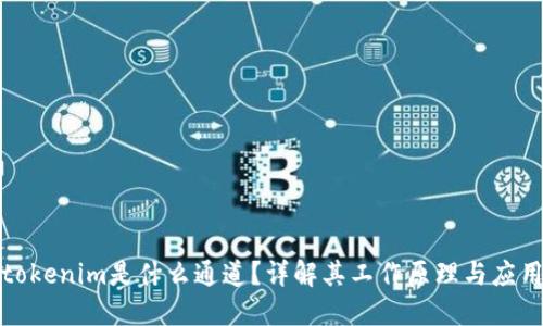 tokenim是什么通道？详解其工作原理与应用