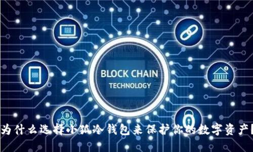 为什么选择小狐冷钱包来保护你的数字资产？