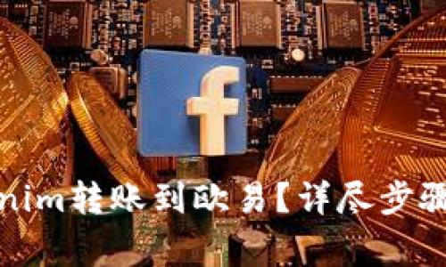 如何将Tokenim转账到欧易？详尽步骤与注意事项