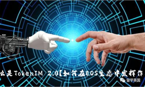 什么是TokenIM 2.0？如何在EOS生态中发挥作用？