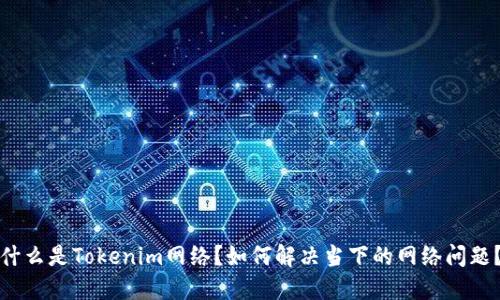 什么是Tokenim网络？如何解决当下的网络问题？