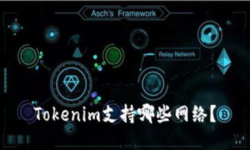 Tokenim支持哪些网络？