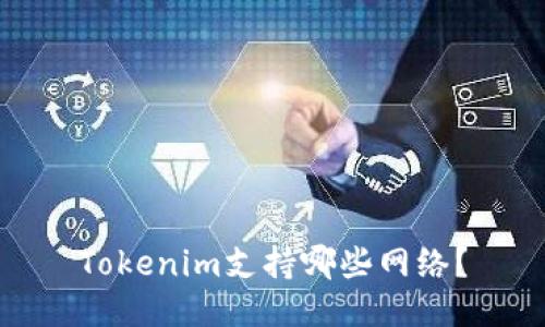 Tokenim支持哪些网络？