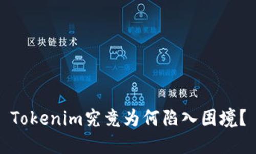 Tokenim究竟为何陷入困境？