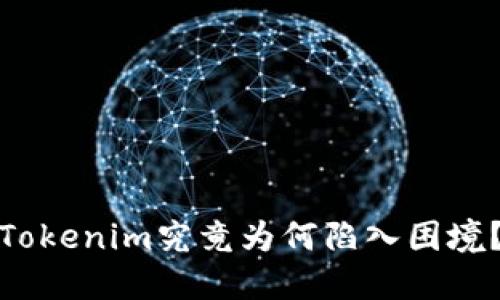 Tokenim究竟为何陷入困境？