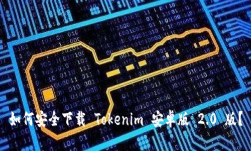 如何安全下载 Tokenim 安卓版 2.0 版？