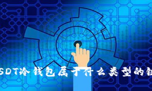 USDT冷钱包属于什么类型的链？