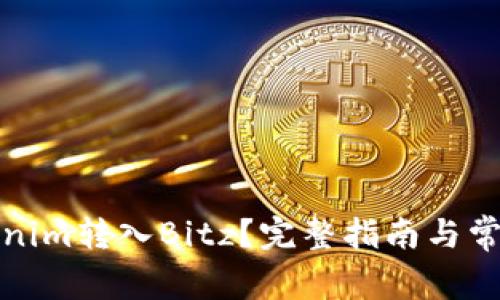如何将Tokenim转入Bitz？完整指南与常见问题解答
