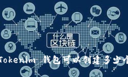 一个 Tokenim 钱包可以创建多少个地址？