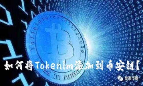 如何将Tokenim添加到币安链？