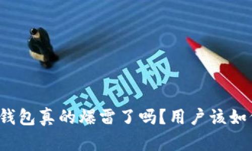 比特派钱包真的爆雷了吗？用户该如何应对？