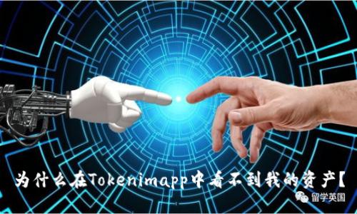 为什么在Tokenimapp中看不到我的资产？
