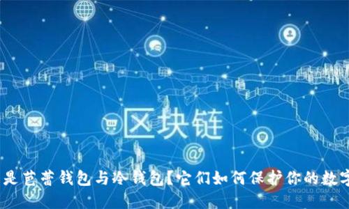 : 什么是芭蕾钱包与冷钱包？它们如何保护你的数字资产？