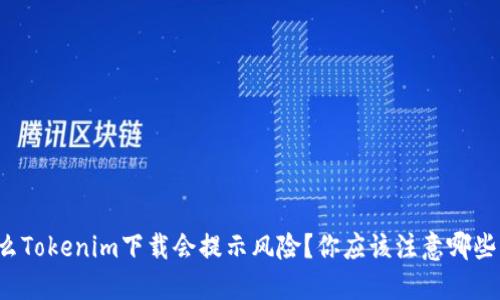 为什么Tokenim下载会提示风险？你应该注意哪些问题？