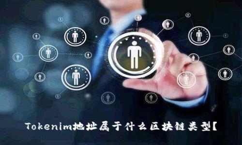 Tokenim地址属于什么区块链类型？
