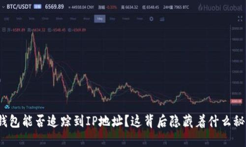 冷钱包能否追踪到IP地址？这背后隐藏着什么秘密？