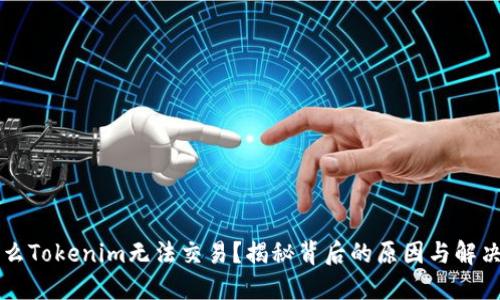 为什么Tokenim无法交易？揭秘背后的原因与解决方案