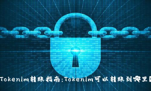 Tokenim转账指南：Tokenim可以转账到哪里？