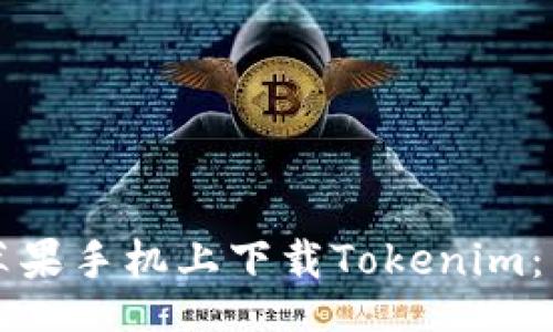 layout

如何在苹果手机上下载Tokenim：详细指南