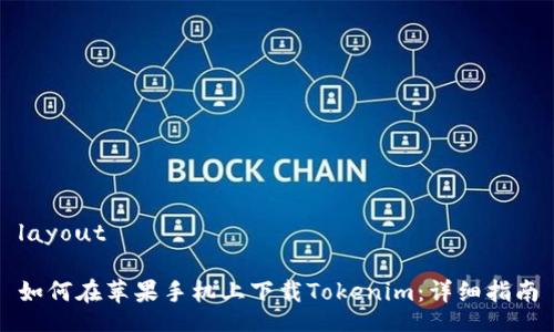 layout

如何在苹果手机上下载Tokenim：详细指南
