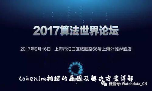 tokenim拥堵的原因及解决方案详解